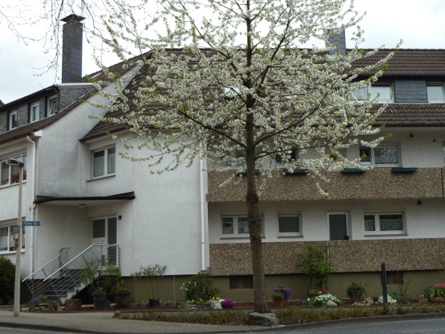 Voss Vermietung Fürker Straße 79 Solingen